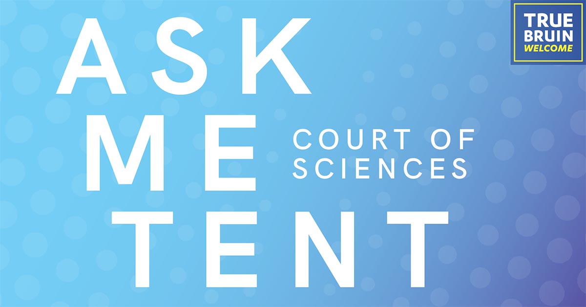Ask Me Tent: Court of Sciences